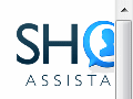 Security Solutions – Online Shop Assistant