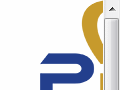 Event Crowd Control and Security Guard Services in Perth Western Australia