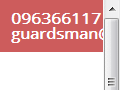 Guardsman.co.nz